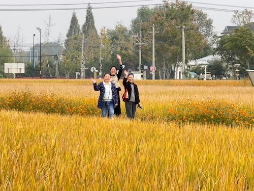 ab29ed67487da5713557a07133190c8